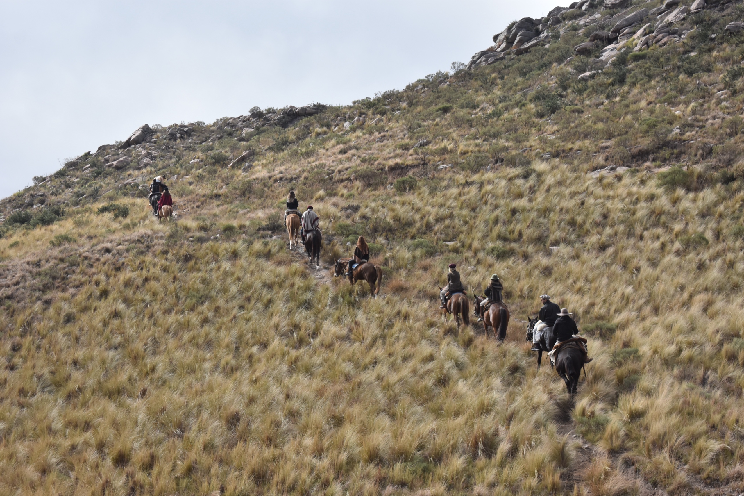 Paisaje de la patagonia argentina a caballo